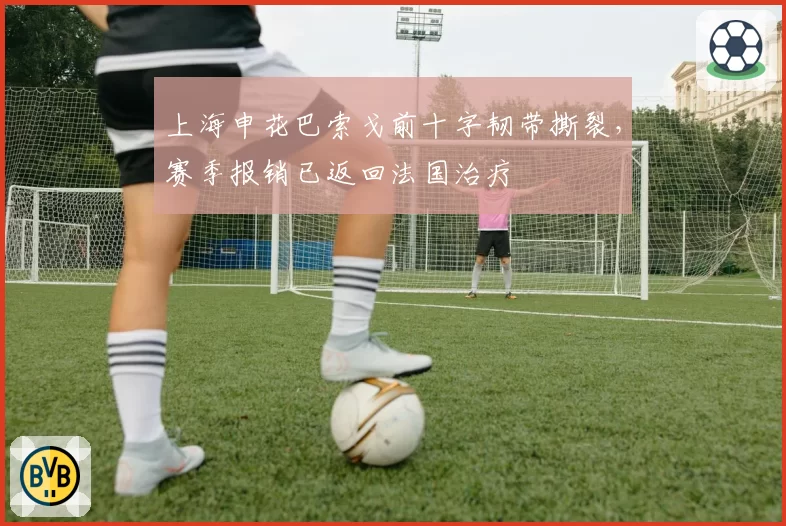 上海申花巴索戈前十字韧带撕裂，赛季报销已返回法国治疗